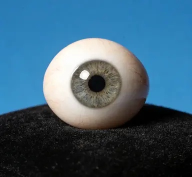 正目义眼 团队与技术